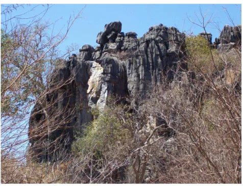Figura  21  –  Floresta  Estacional  Decidual  cárstica  em  grande  afloramento de calcário no Morro da Lavagem