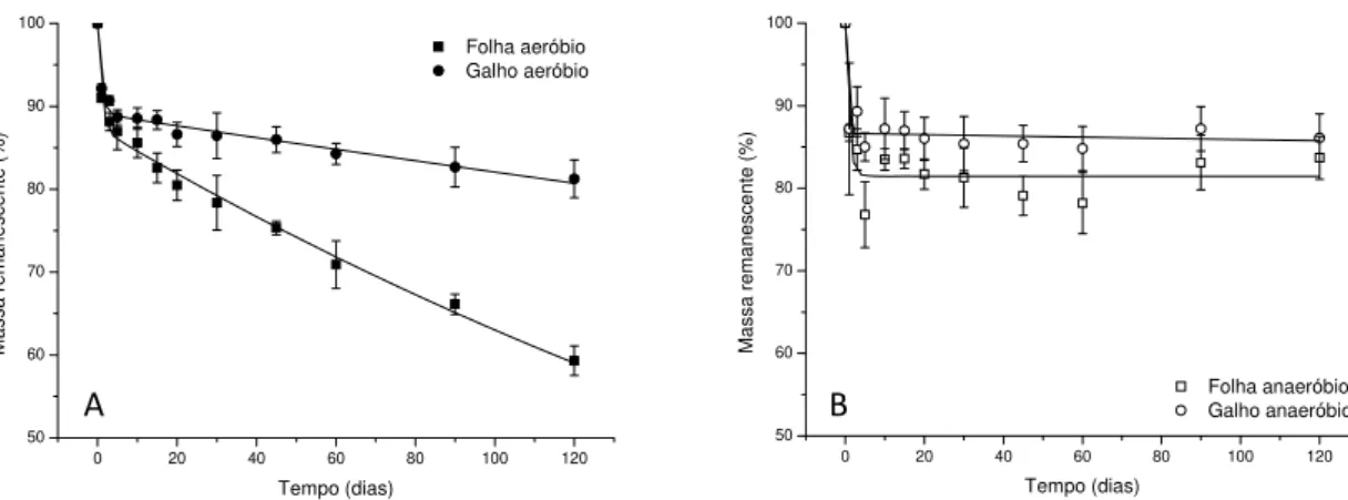 Figura 4: Ajustes cinéticos da perda de massa na decomposição aeróbia (A) e anaeróbia  (B) de folhas e galhos