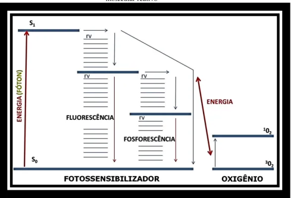 Figura 4 - Diagrama de Jablonski adaptado mostrando transferência de energia para produção de oxigênio  molecular reativo 