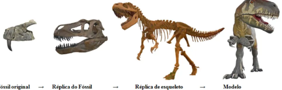 Figura 1 – Torvosaurus gurney, diversos aspectos (Fóssil ML1100; Réplica de crânio do Museu da Lourinhã; Esqueleto de Torvosaurus tanneri, do North American Museum of Ancient Life, fonte Wikimedia Commons; Modelo do
