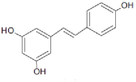 Figura 9 - Estrutura do trans-resveratrol (Çetin e  Saðdýç, 2009). 