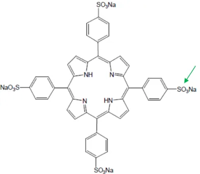 Figura  1.4 Exemplo  de  uma  porfirina  tetrakis,  sal  de  sódio  da  5,10,15,20-  tetrakis(4- tetrakis(4-sulfonatofenil) porfirina (Dolphin, 1997)