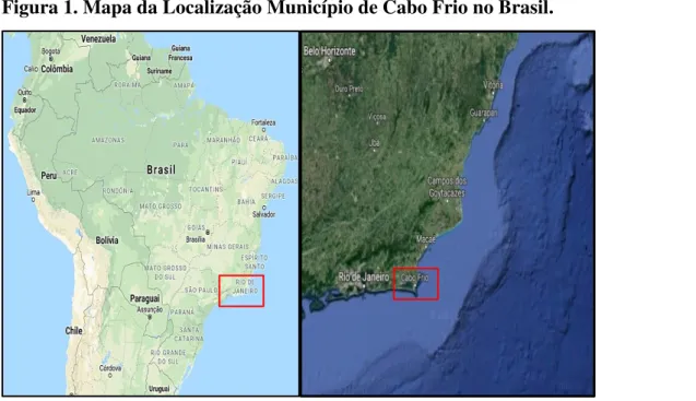 Figura 2. Localização de Tamoios no Município de Cabo Frio. RJ  –  Brasil 