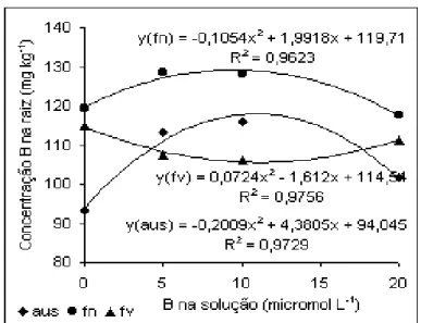 Figura 9. Concentração de B em matéria seca de raiz de algodoeiro em função da aplicação de B