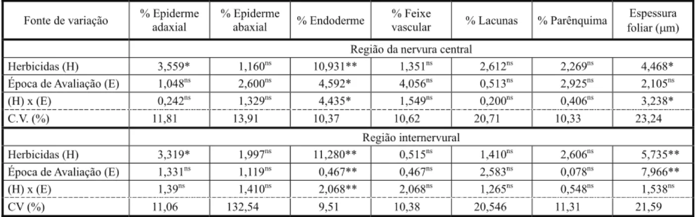 Tabela 2 - Valores do teste F e do coeficiente de variação dos caracteres anatômicos quantitativos da região da nervura central e internervural do limbo foliar das plantas de E