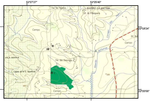 Figura 1 - Localização dos perfis-de-solo sob floresta (1), pastagem (2) e     cultura anual (3), estudadas no município de Anhumas - SP