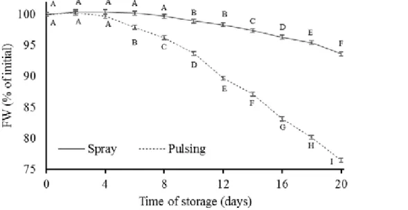 Figure 3. Fresh weight (% of initial) from the statistical significant interaction of mode of  application x time of storage of Anthurium andraeanum stems pulsed or sprayed with  6-benzylaminopurine (BAP)