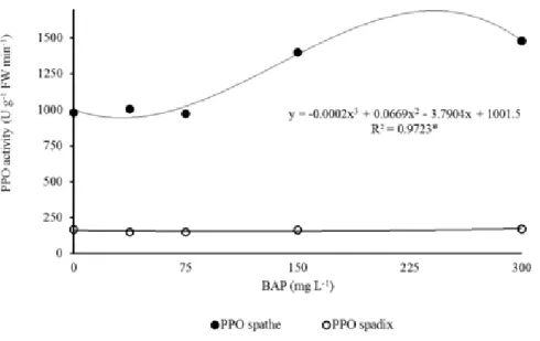 Figure 6: Polyphenol oxidase activity (U g -1  FW min -1 ) of spathe (fitted model) and spadix of  Anthurium andraeanum pulsed and sprayed with 6-benzylaminopurine (BAP)