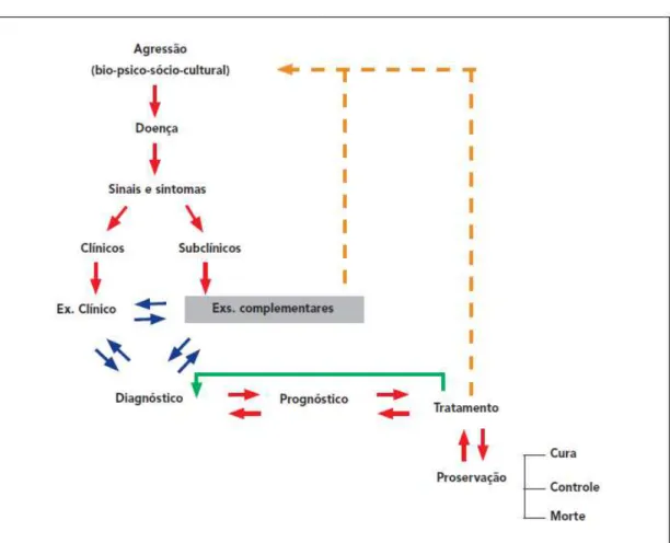 Figura 6  –  Representação esquemática do processo de diagnóstico 