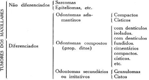 Figura 7- Classificação dos principais tumores dos maxilares 