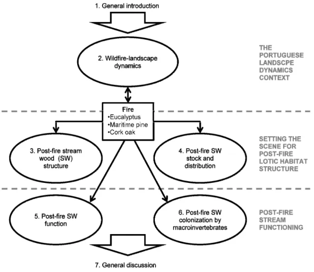 Fig. 1. Thesis outline. Five scientific papers are presented as chapters 2 to 6 (ellipses)