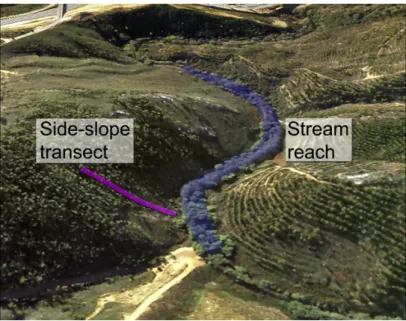 Fig. 1. Digital terrain model of a typical study site, including the stream reach and a perpendicular side- side-slope transect.