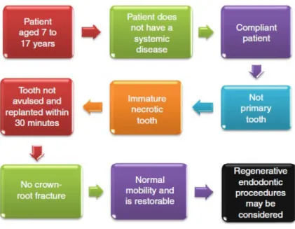 Figura 2 – Processo de seleção de um caso clínico para procedimento endodôntico regenerador (adaptado  de Murray, 2015).