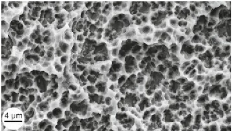 Figure   4: SEM   image   of   SLA/modSLA   surface   on   c.p.   titanium   (can   be   viewd  at:http://pocketdentistry.com/sandblasted-and-acid-etched-implant-surfaces-with-or-without-high-surface-free-energy-experimental-and-clinical-background/)