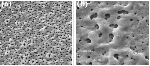 Figure   8:   SEM   micrographies   (5000x)   of   the   Ti   anodic   films   produced   in   (a)   1.0M H2SO4/150V,   and   (b)   0.5M   Na2SO4/100V   (image   can   be   viewed   at: