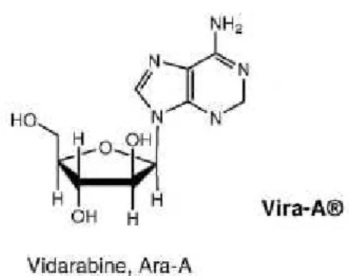 Figura 5 – Estrutura química da vidarabina, Vira-A ®  (Mayer et al., 2010) 