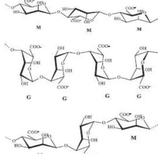 Fig. 2 Estrutura química do alginato(Sosnik et alli, 2014) 