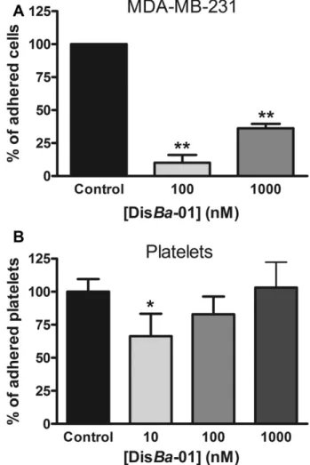 Fig. 1. DisBa-01 acts like a matrix protein for ﬁbroblasts and tumor cells. DisBa-01 supports the adhesion of human ﬁbroblasts (A) and MDA-MB-231 breast tumor cells (B)
