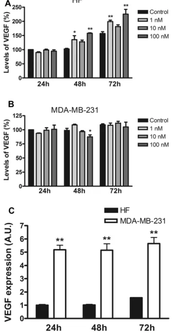 Fig. 3. DisBa-01 modulates VEGF mRNA expression. The levels of VEGF mRNA of DisBa- DisBa-01-treated human ﬁbroblasts (A), HMEC (B) and MDA-MB-231 cells (C) were analyzed by qPCR