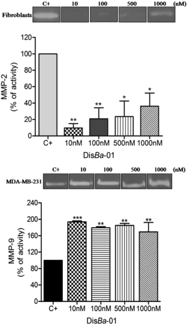 Fig. 5. DisBa-01 inhibits VEGF receptor expression in HMEC-1. Gene expression of VEGFR1 (A) and VEGFR2 (B) In HMEC-I cells was dose-dependently inhibited by  DisBa-01