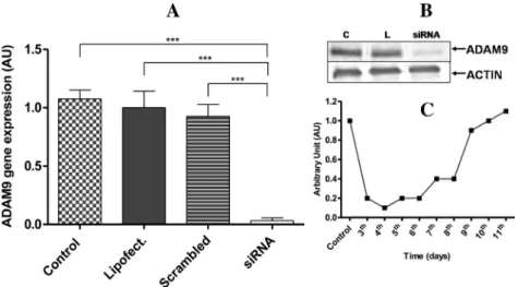 Fig. 2. Proliferation assay. Silencing of ADAM9 had no effect on the proliferation of the MDA-MB-231 cells after three (A) or six days (B) of transfection