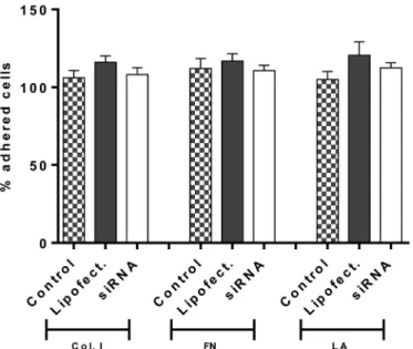 Fig. 5. Effect of RNAi-mediated ADAM9 silencing on migration of MDA-MB-231 cells.