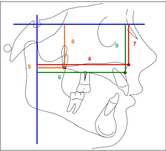 FIGURA 6 - Medidas de Crescimento Maxilar  (Deslocamento Vertical e Horizontal dos Pontos) 