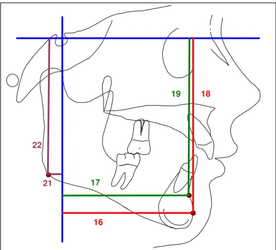 FIGURA 8 - Medidas de Crescimento Mandibular  (Deslocamento Vertical e Horizontal dos Pontos) 