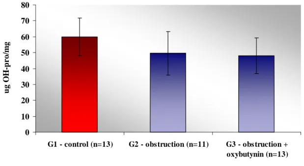 Figure 2: Concentration of bladder collagen, expressed as µg of hydroxyproline  per mg of dry tissue after 4 weeks of treatment (M2)