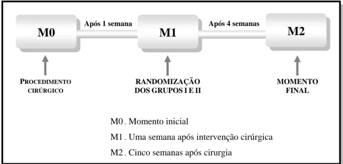 Figura 1 – Diferentes momentos do estudo experimental.