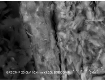 Fig. 10. BSEM + EDS engobe. Interface engobe–ceramic paste.