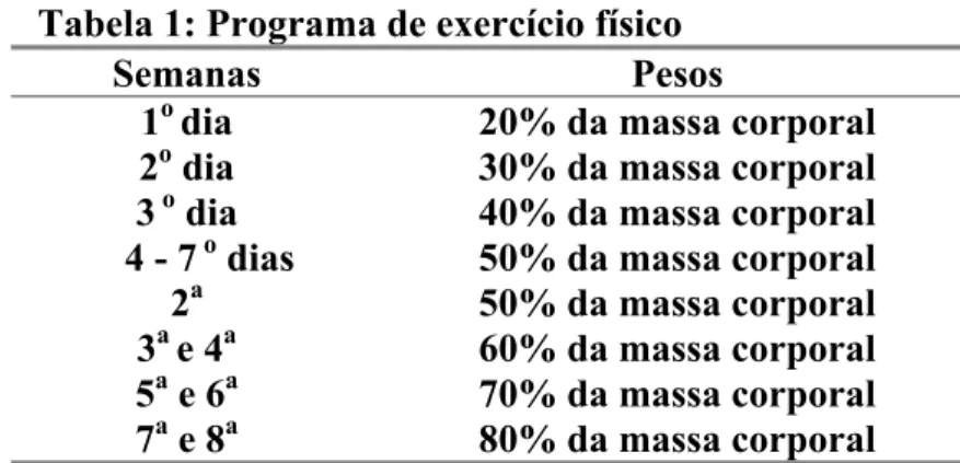 FIGURA 1: Vista esquemática representando o protocolo de exercício  físico 