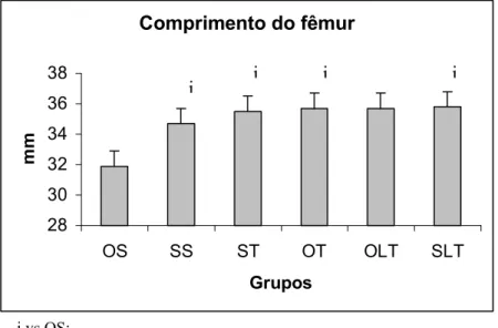 Figura 2: Comprimento do fêmur 