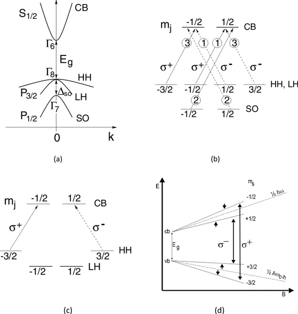 Figura 1-5: (a) Esquema da estrutura de bandas e (b) regras de seleção para transições ópticas interbanda em  um  bulk  de  GaAs,  válidas  tanto  para  excitação  quanto  para  recombinação,  com  as  setas  indicando  as  respectivas probabilidades relat