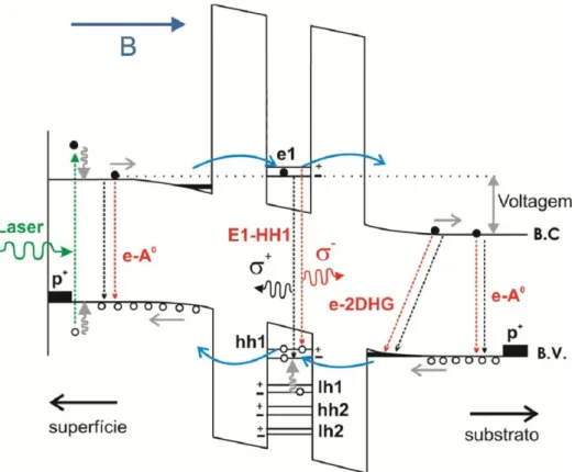 Figura 3.5 –  Esquema do perfil de potencial da amostra DTR I ilustrando a fotogeração, transporte e recombinação  de portadores na estrutura na presença de um campo magnético aplicado paralelamente à corrente túnel