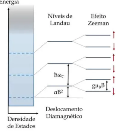 Figura 10 -  Representação dos níveis de Landau, efeito Zeeman e deslocamento diamagnético.