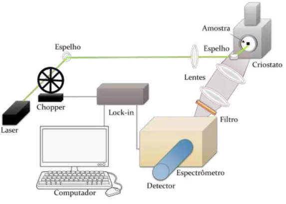 Figura 13 -  Representação da montagem experimental de fotoluminescência.