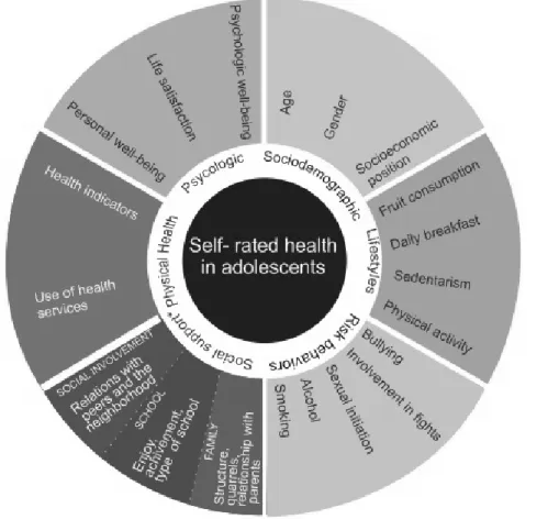 Figure  1.  Framework  proposed  for  self-rated  health  among  adolescents  according  to  socio- socio-demographic,  lifestyles,  risk  behaviors,  social  support,  physical  and  psychological  health  domains