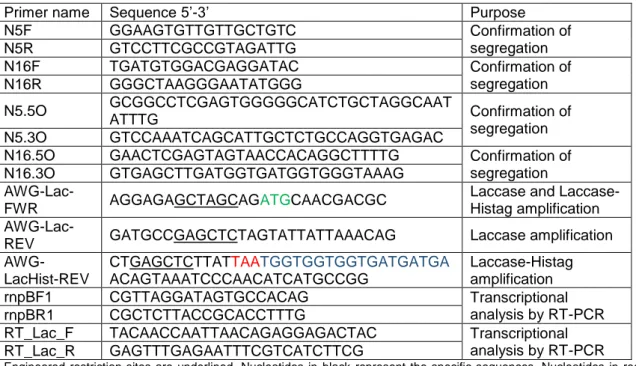 Table 2: Oligonucleotide primers used in this work 