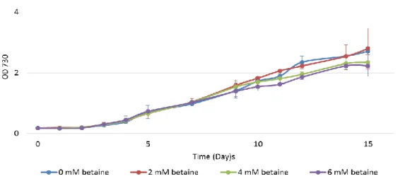 Figure  7  –  Growth  curves  of  Synechocystis  in  the  presence  of  glycine  betaine