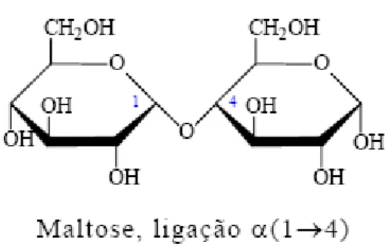 Figura 2) Representação da molécula de maltose (LEHNINGER;NELSON;COX, 2005). 
