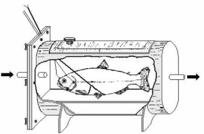 FIGURA  2. Esquema do respirômetro de fluxo constante. As setas indicam a direção do fluxo  de água através do respirômetro (adaptada de OLLE, 2007)