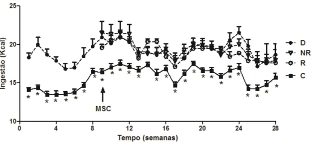 Figura 13. Ingestão alimentar (Kcal). Valores estão representados como média ± EPM, n=10-13 camundongos  por grupo