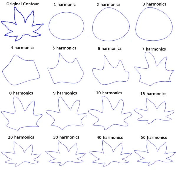 Figure 2.7: Reconstruction of a specimen of acer palmatum using EFD.