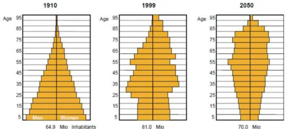 Figura 1: Dados demográficos com inversão da pirâmide da idade. 