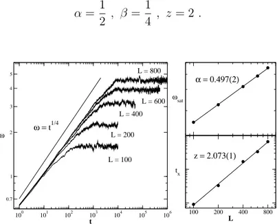 Figura 2.4: DARS: À esquerda mostramos o gráfico em escala logarítmica exibindo o com- com-portamento temporal da rugosidade obtido a partir de simulações com L=100, 200, 400, 600 e 800