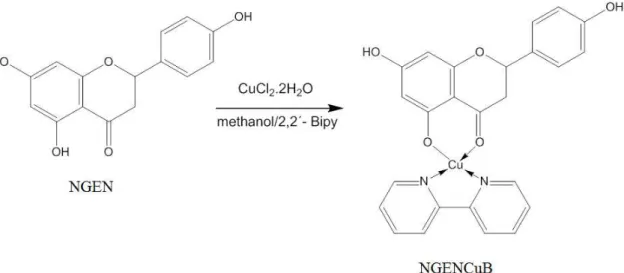 Figura 3: Estrutura da molécula de naringenina (NGEN) e da molécula da naringenina complexada com  cobre II e a bipiridina (NGENCuB)