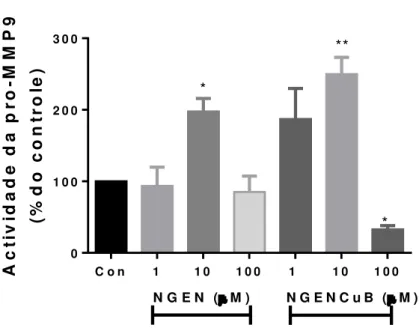 Figura 12: Efeitos da NGEN e NGENCuB sobre a atividade da pró-MMP9.. Após as células atingirem  100% de confluência, foi feita uma risca através da remoção das células de cada poço