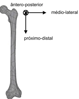 Figura 2.9 Direções ântero-posterior, médio-lateral e próximo-distal em um  fêmur esquerdo