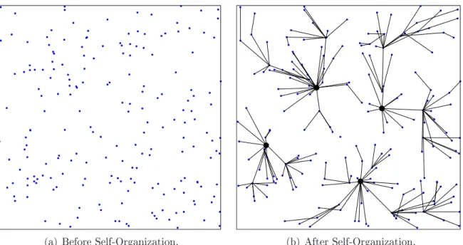 Fig. 3.5 shows an example of a cluster organization.